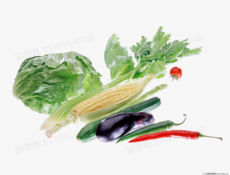 手绘蔬菜卡通食物图片 精品清新蔬菜