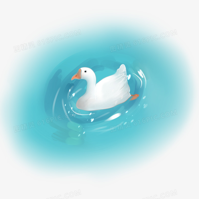 手绘游泳的大白鹅免抠元素