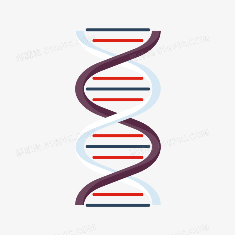 化学分子结构