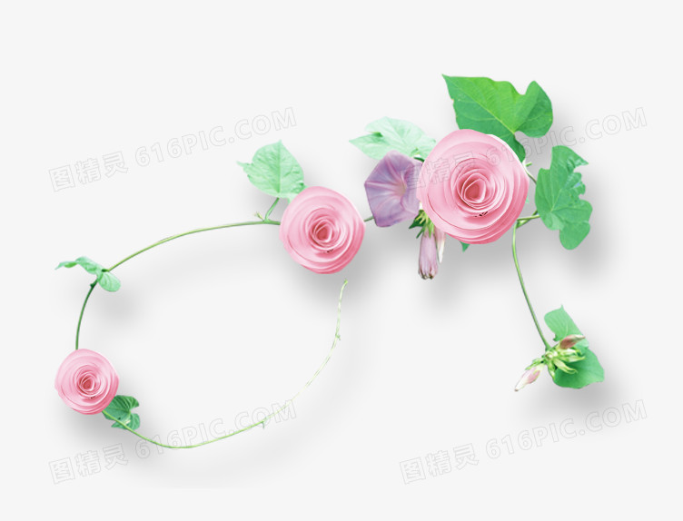 花卉花边