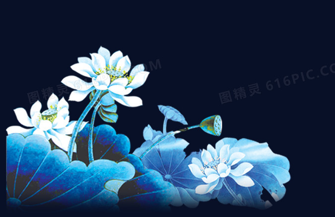 荷花