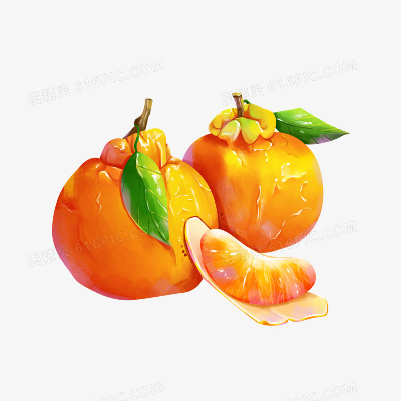 手绘写实丑橘水果元素插画