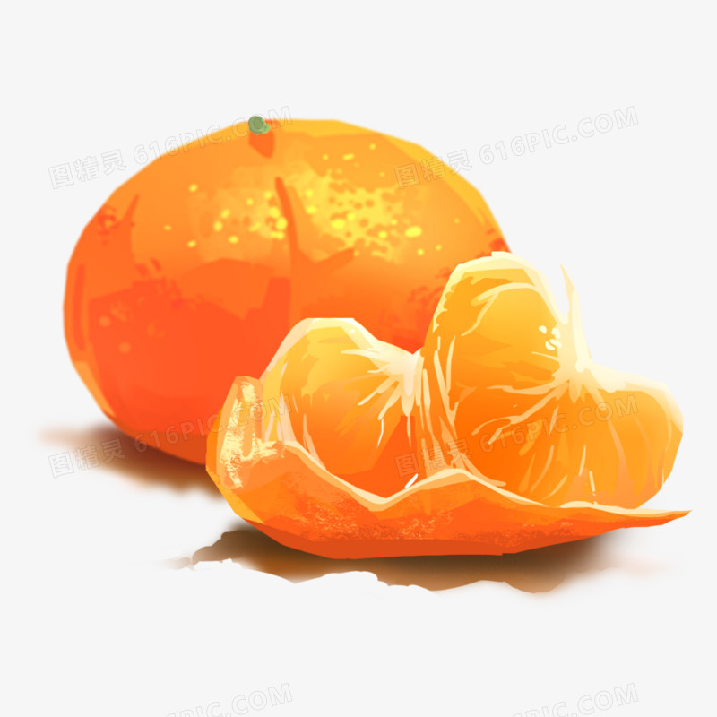 手绘水果橘子橘子瓣素材