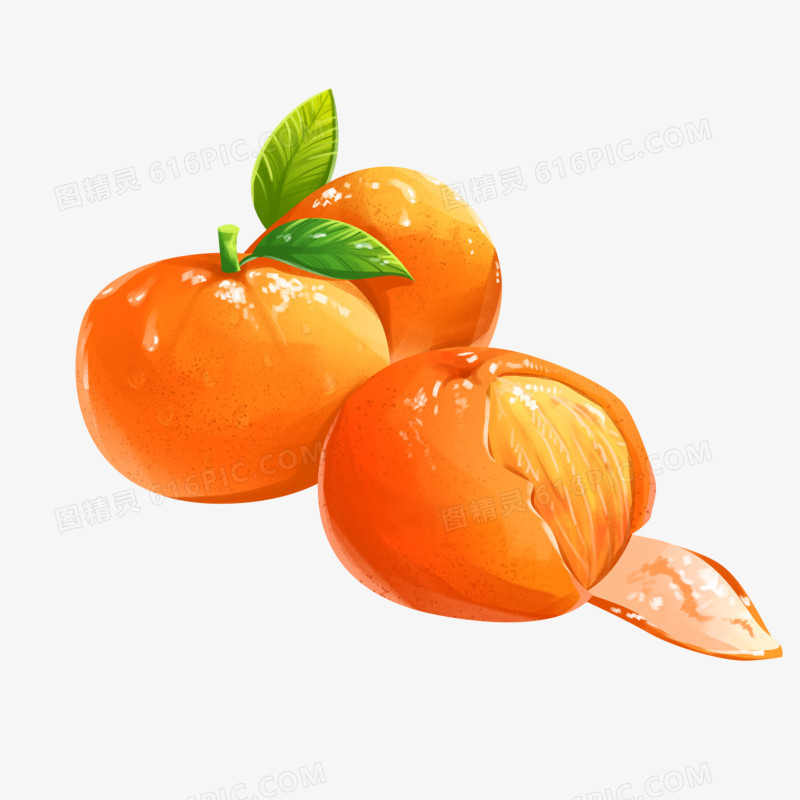 手绘水果砂糖橘素材