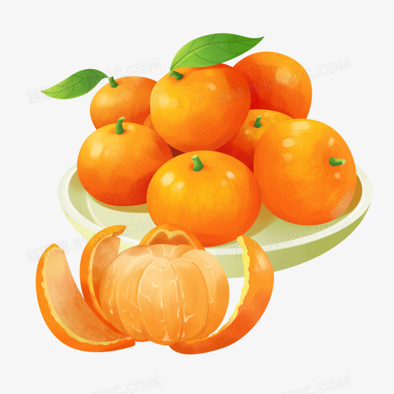手绘写实美味砂糖橘插画元素