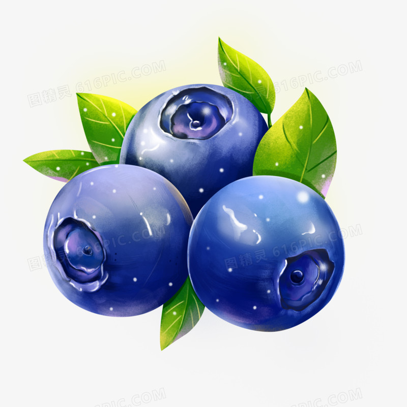 手绘蓝莓水果元素插画