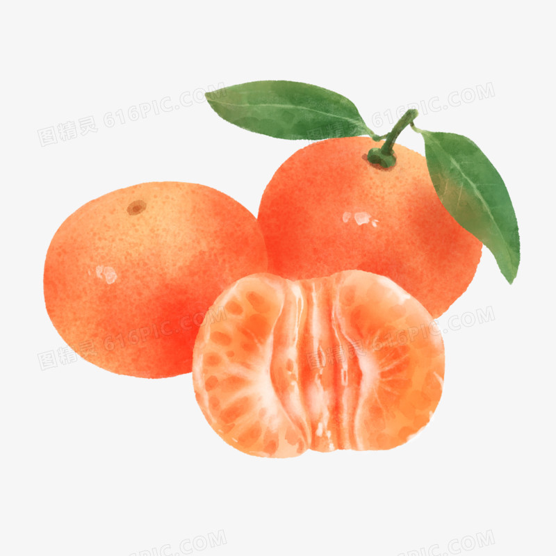手绘水彩砂糖橘素材