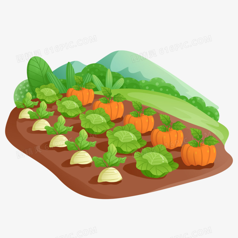 手绘种满蔬菜的菜地插画素材