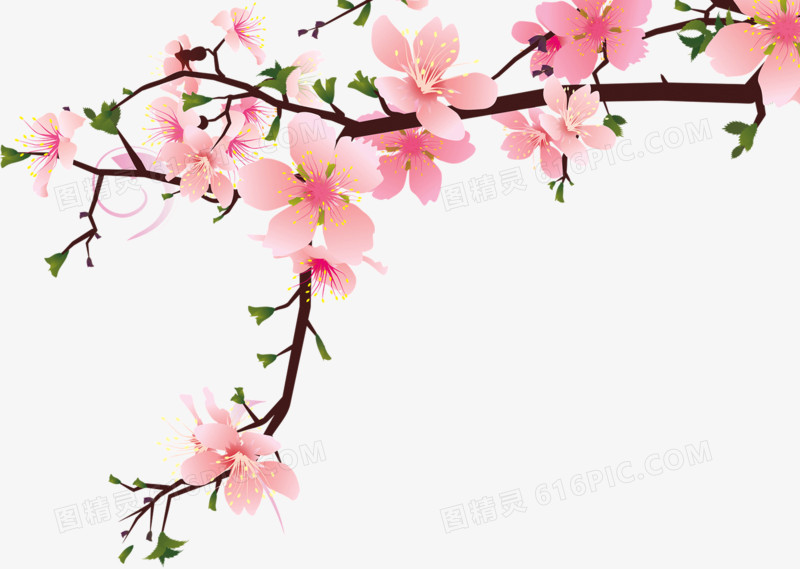 粉色花朵