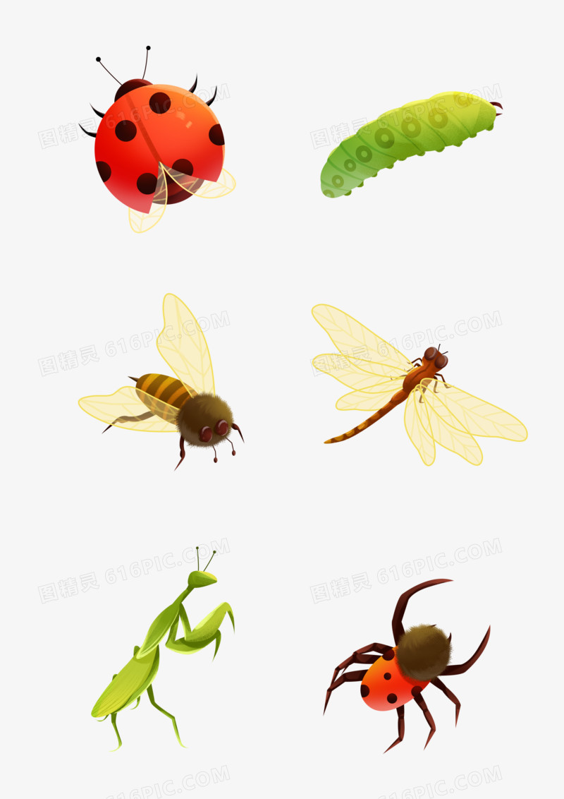 一组手绘插画风虫子昆虫素材