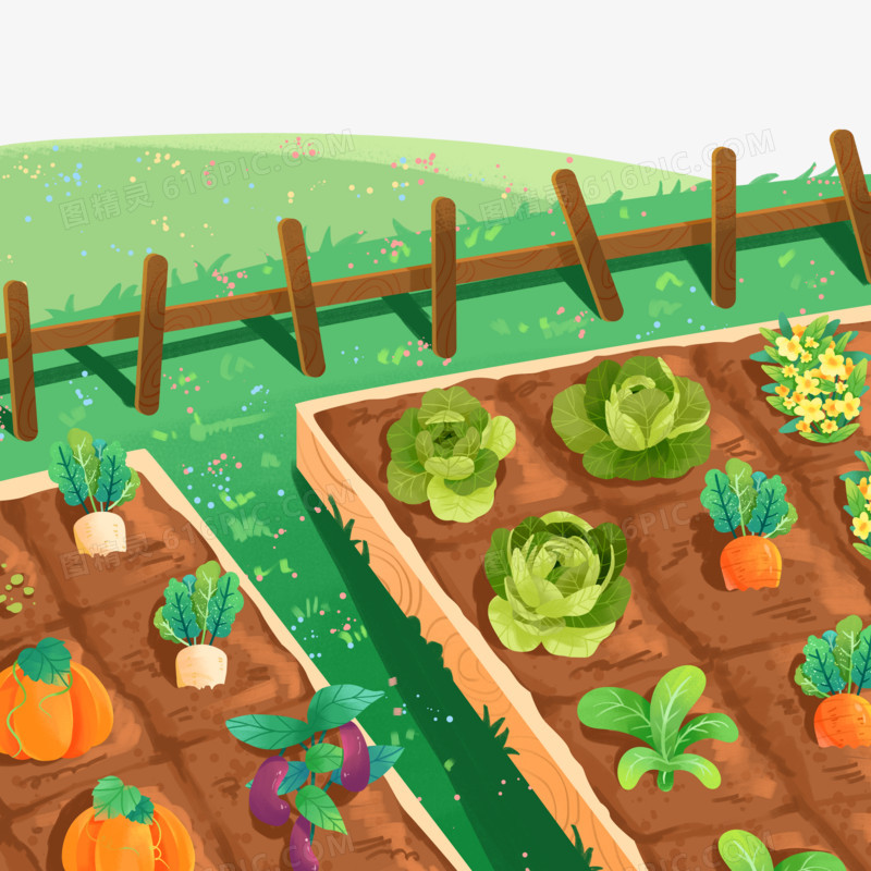 手绘插画风种满蔬菜的菜园子素材