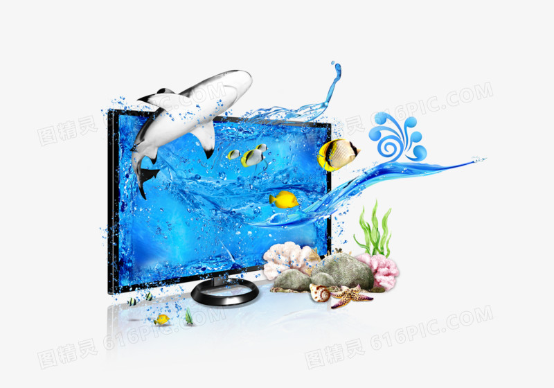 电视机 海洋 海洋动物 植物 鱼 清晰 显示器