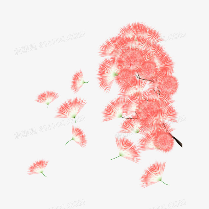 一组手绘水彩花枝套图之合欢花元素