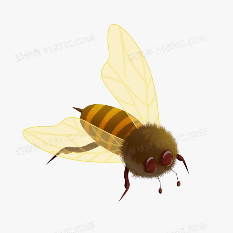 一组手绘插画风虫子昆虫之蜜蜂素材