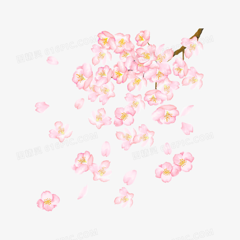 一组手绘水彩花枝套图之樱花元素