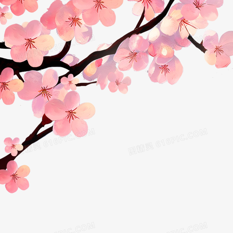 手绘水彩粉色樱花花枝元素