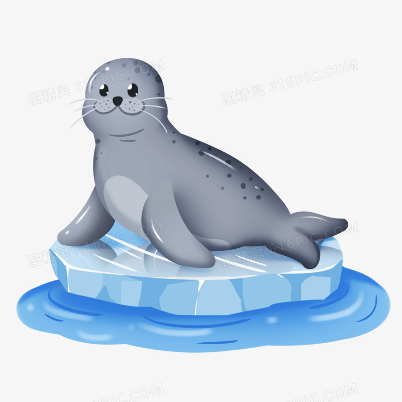 手绘卡通海豹海洋动物免抠素材