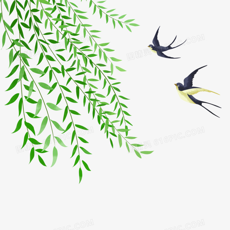 卡通手绘免抠燕子和柳树素材