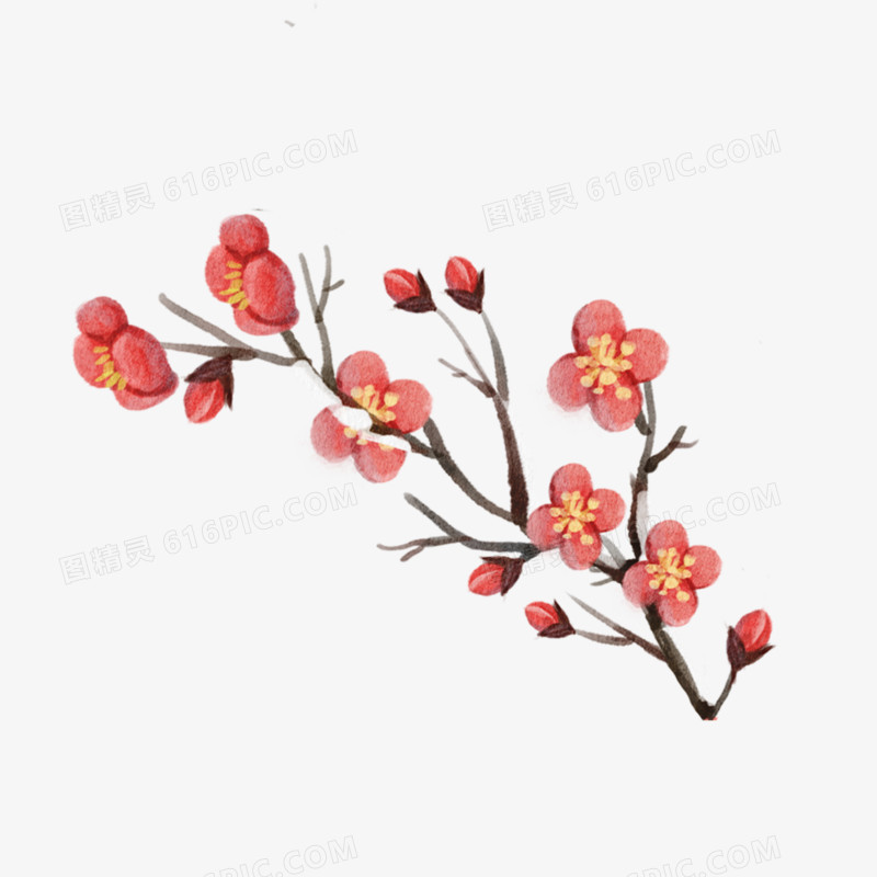 一组手绘中式水彩植物系列套图之红梅花元素