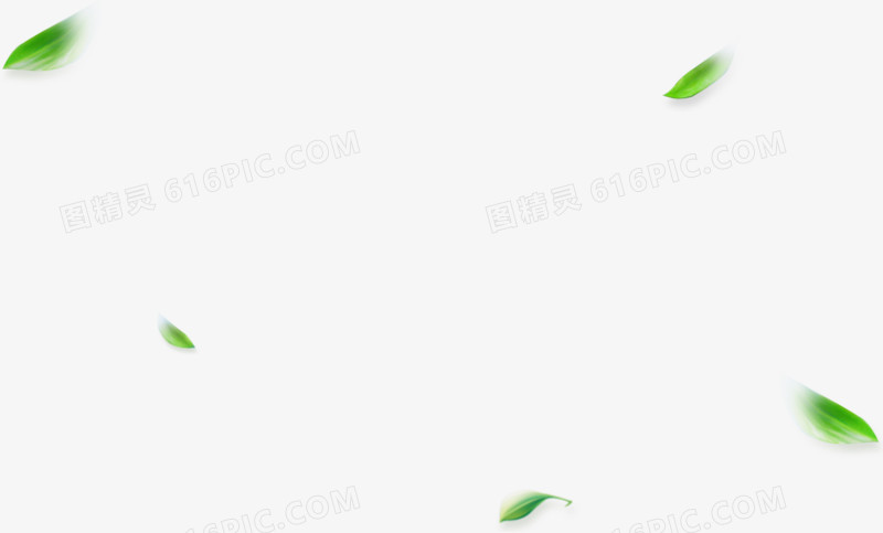 飘浮树叶