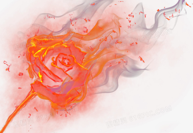花卉