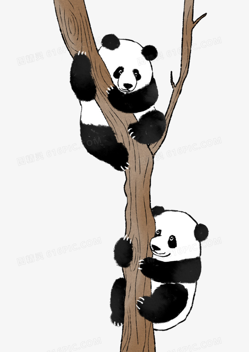 手绘水墨风格两只熊猫爬树素材