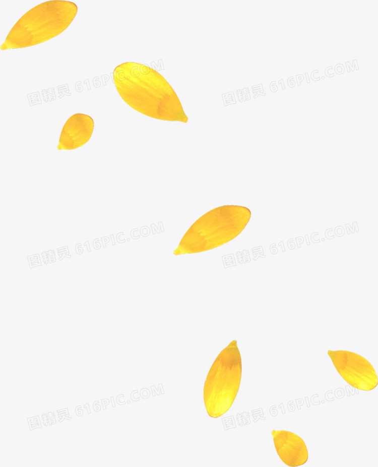 金色树叶漂浮