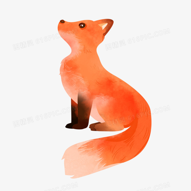 一组手绘水彩插画风野生动物合集狐狸素材