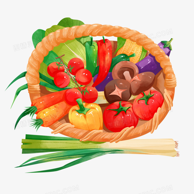 一组健康食材蔬菜篮子元素