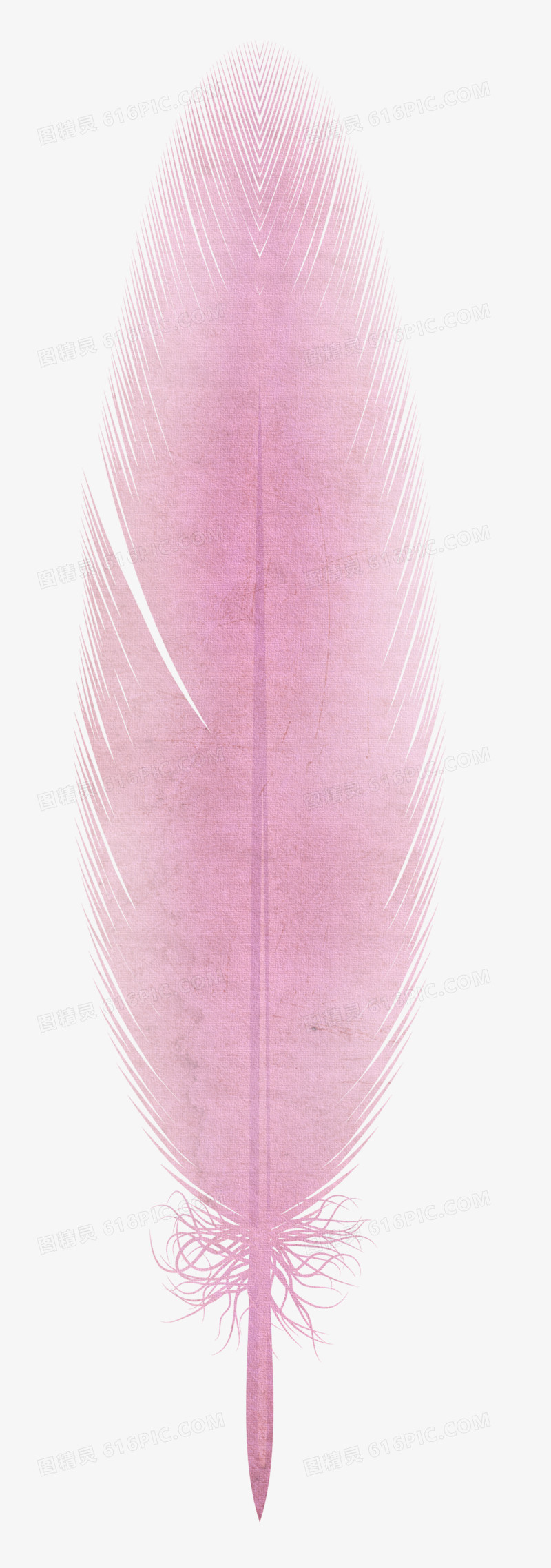 卡通翅膀羽毛翅膀素材  粉色梦幻羽毛