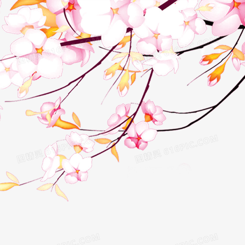 花卉