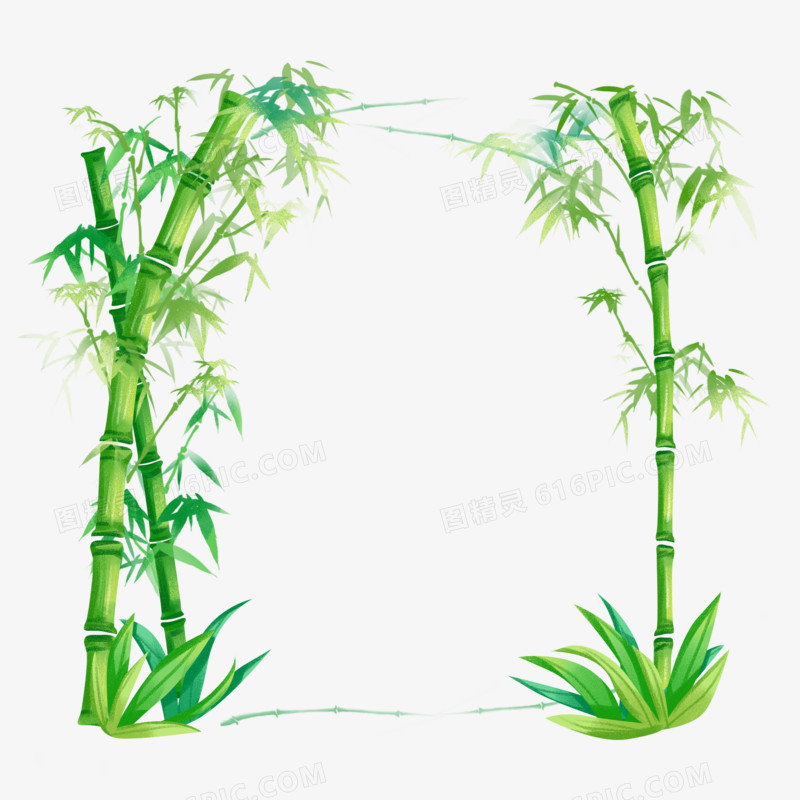 手绘写实植物竹子边框元素