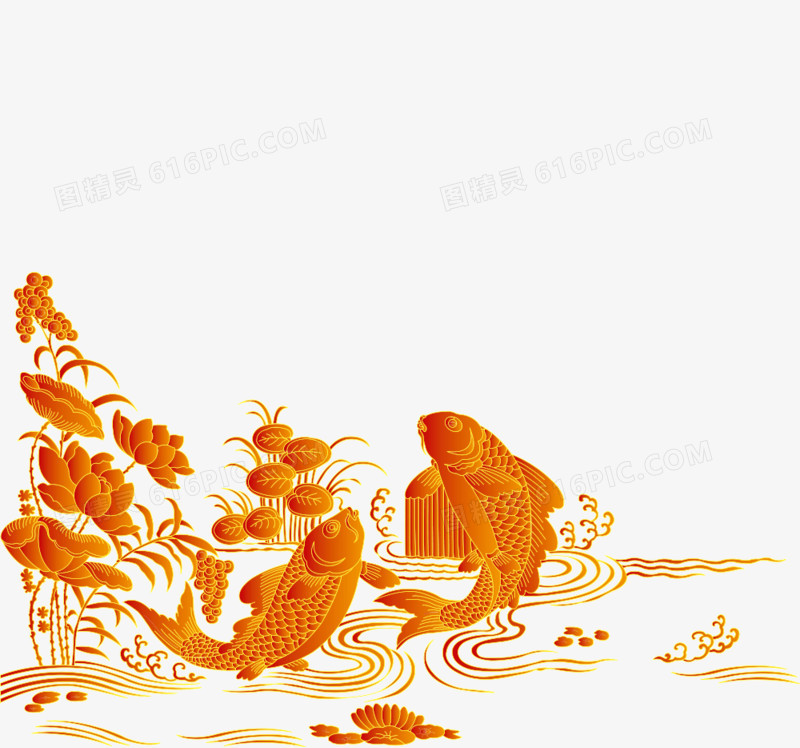 金色荷花鲤鱼