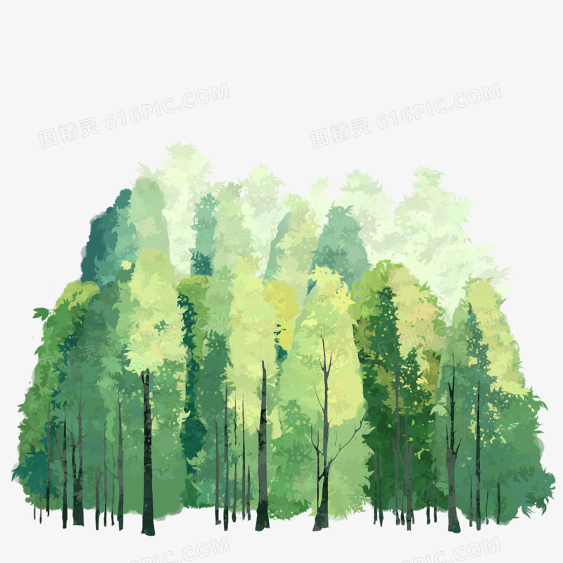 手绘树林森林水彩元素