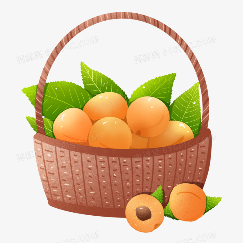 手绘水果篮子杏子素材
