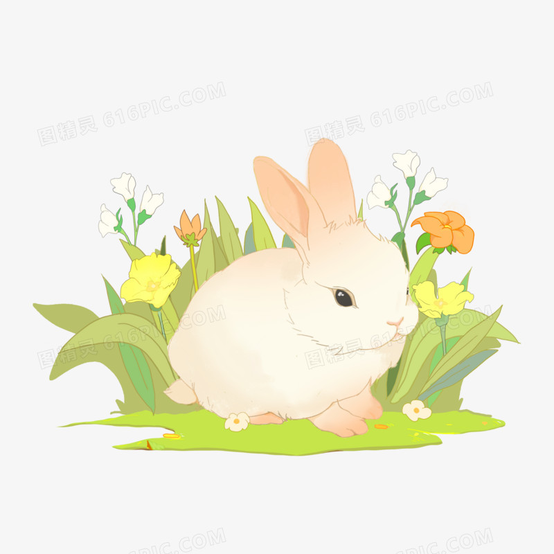 花卉和兔子插画元素