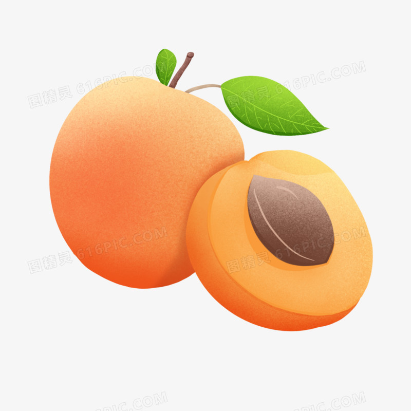 手绘水果杏子免抠素材
