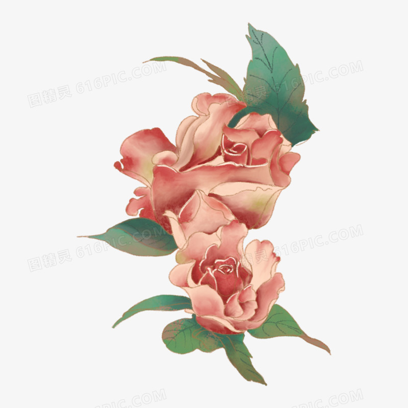 手绘免抠玫瑰花植物素材