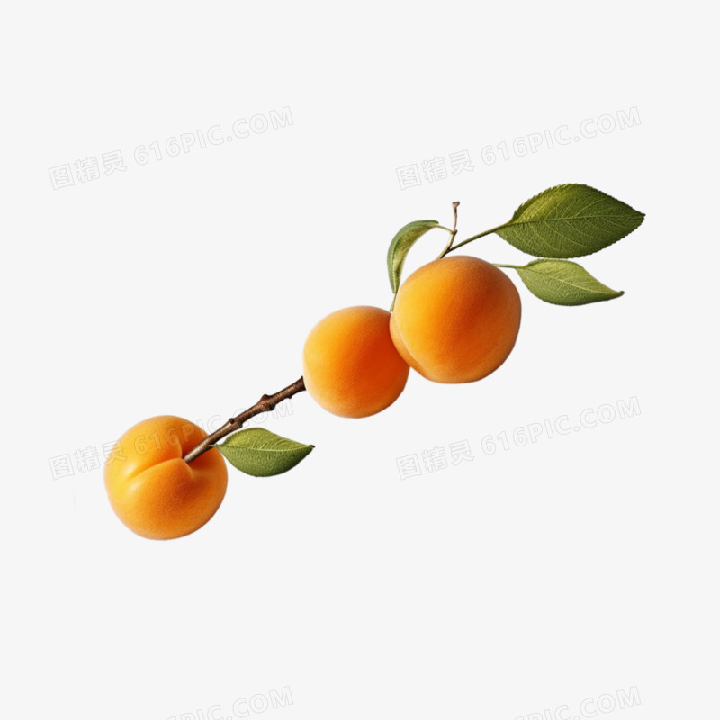 水果杏杏梅元素