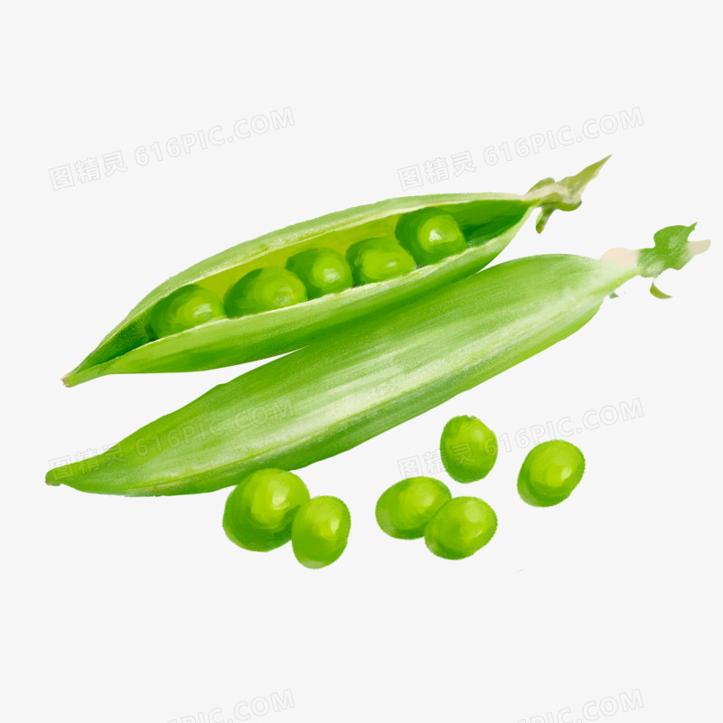 手绘健康蔬菜豌豆素材