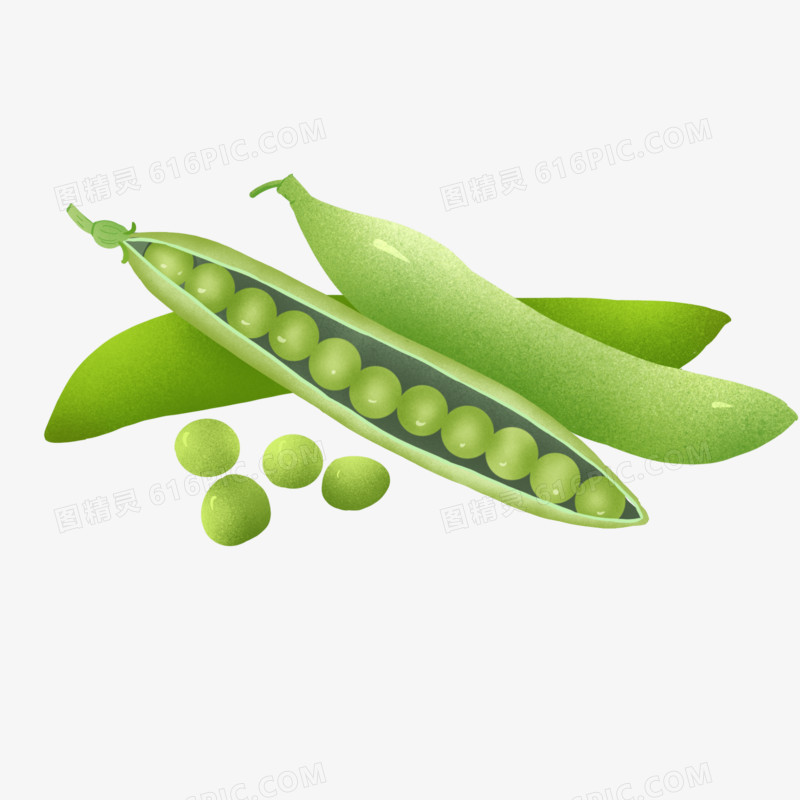 手绘绿色蔬菜豌豆豌豆素材