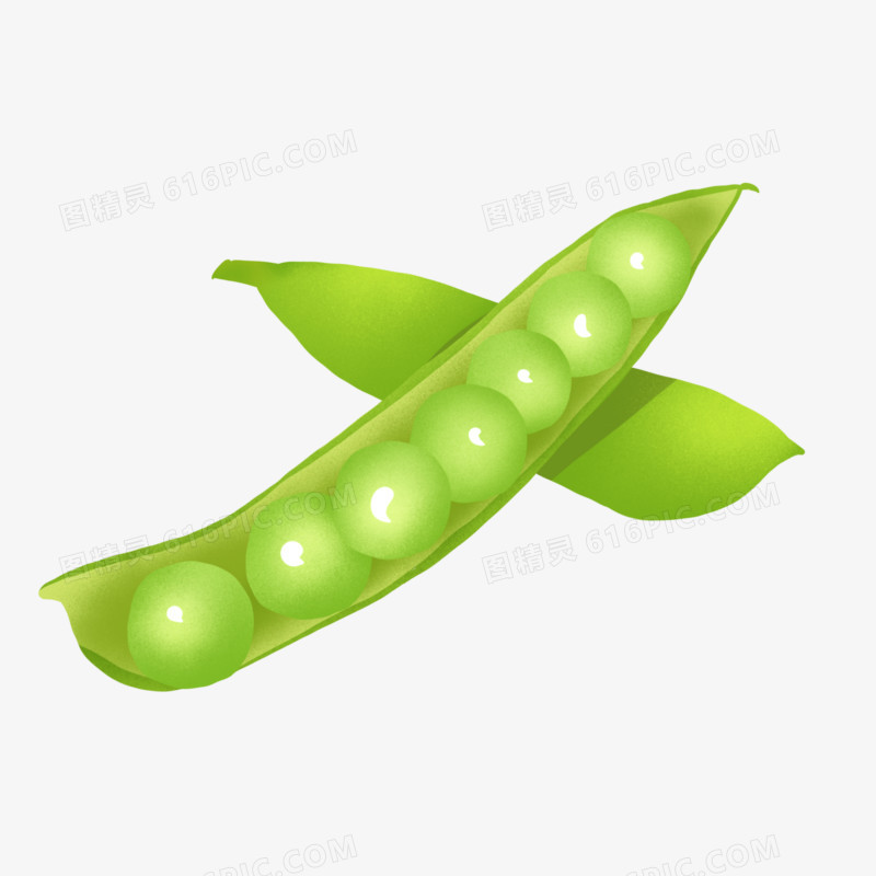 手绘绿色蔬菜豌豆荚素材