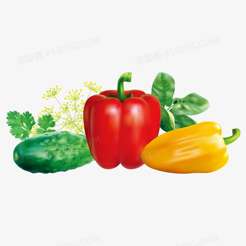 蔬菜 菜 绿色食品