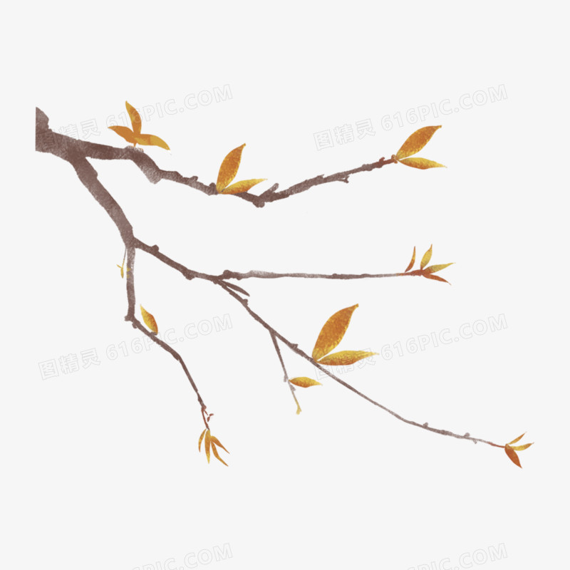  一组水彩秋季树叶子树枝叶子免抠元素