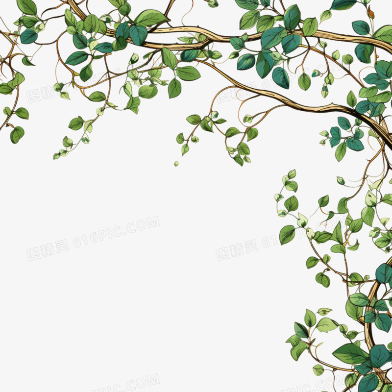 树枝绿叶藤曼花藤装饰边框花边元素