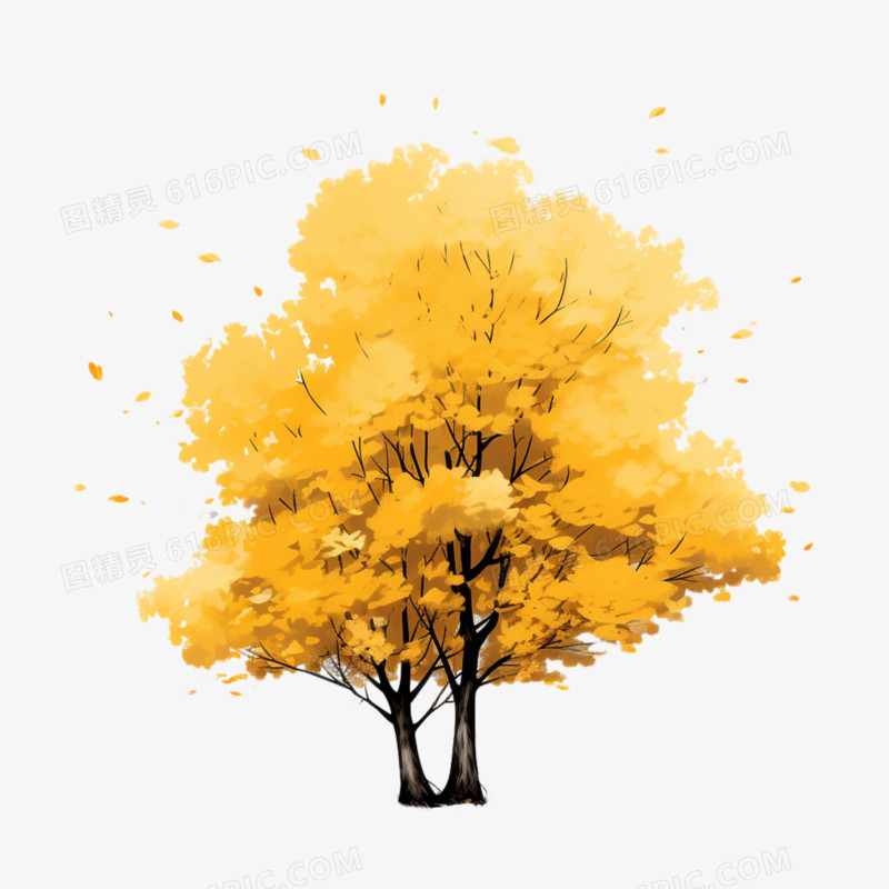 金秋季节落叶树木植物元素