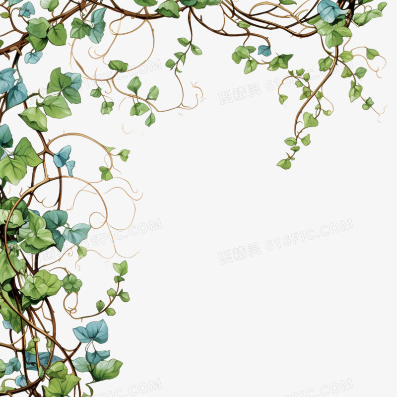 树枝藤曼花藤装饰绿叶边框花边元素