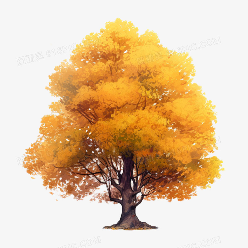 秋天金色树木树叶植物元素