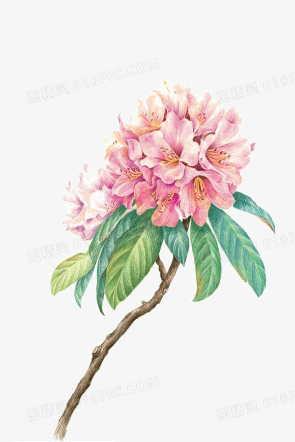 花