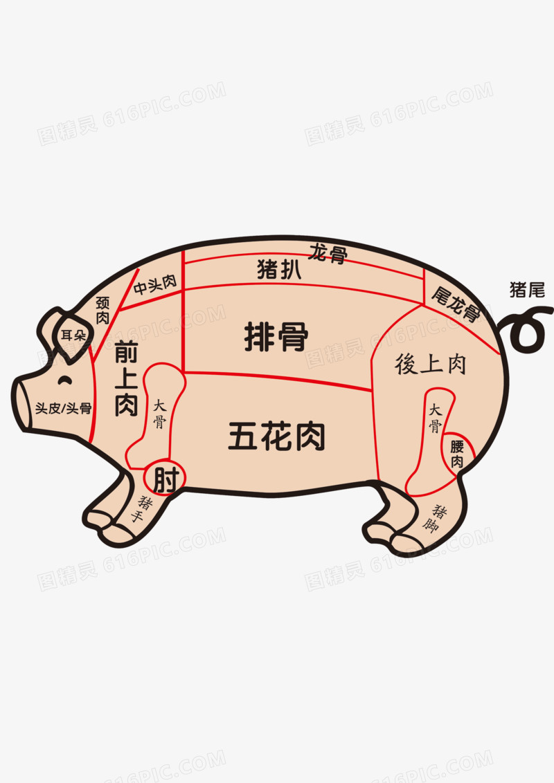 猪的分布图